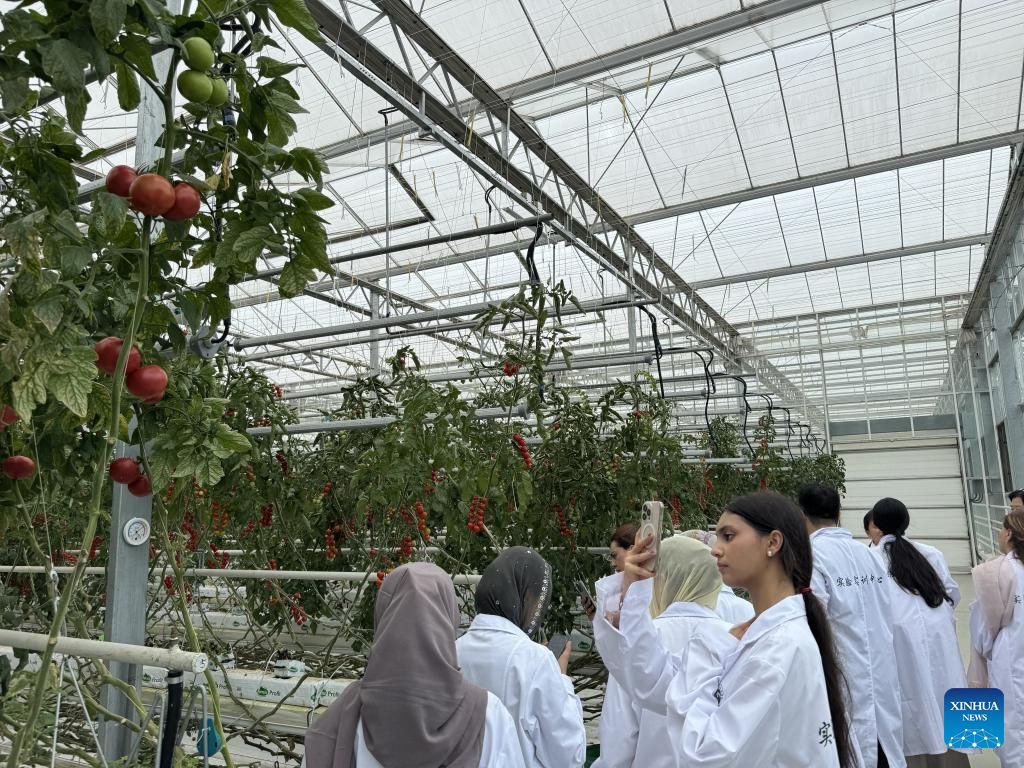 بیجنگ میں بلوچستان، پاکستان سے تعلق رکھنے والی سکول کی طالبات کے وفد کی میزبانی