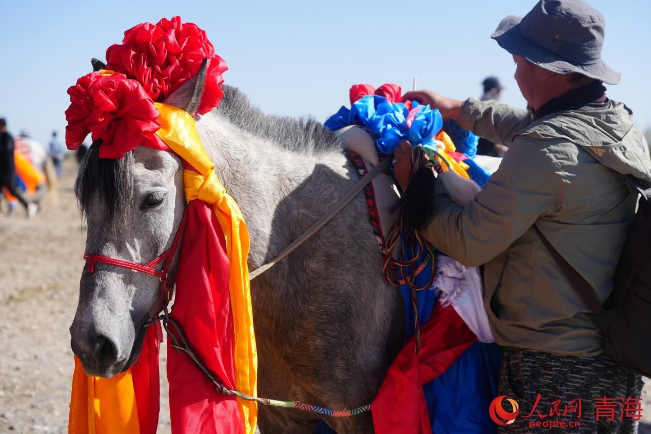 ہائی شی منگولیا -تبت خود اختیار پریفیکچر کے صوبے چنگ ہائی کے شہر گولمد میں سجے نویں نادام میلے میں مخصوص جھالروں اور رنگین فیتوں سے سجا گھوڑا ۔ (پیپلز ڈیلی آن لائن/کوانگ یو)