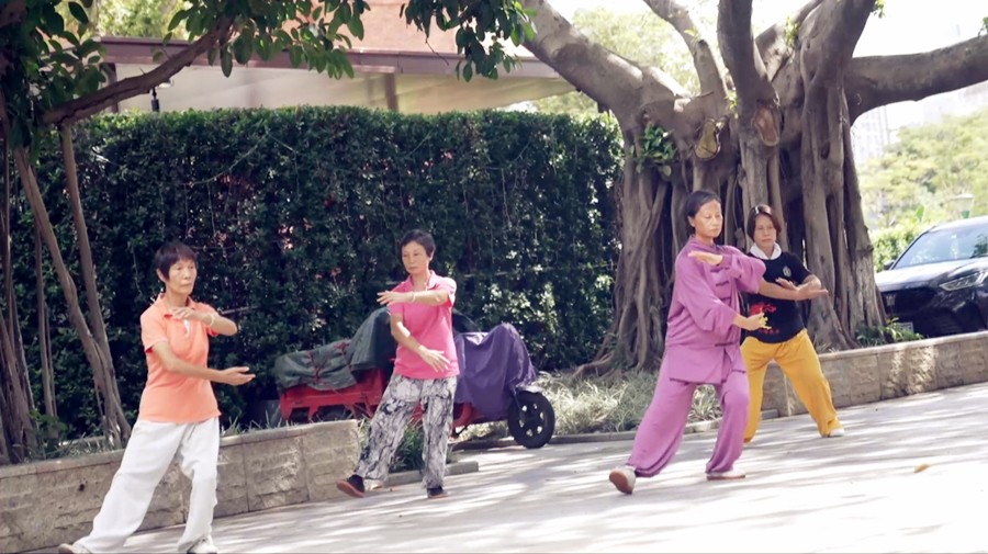 8 ستمبر 2025۔ جنوبی چین کے صوبے گوانگ دونگ کے شہر گوانگجو کے ایک پارک میں عمر رسیدہ خواتین تھائی چی کی مشق کررہی ہیں۔ (پیپلز ڈیلی آن لائن/جانگ رونگ)