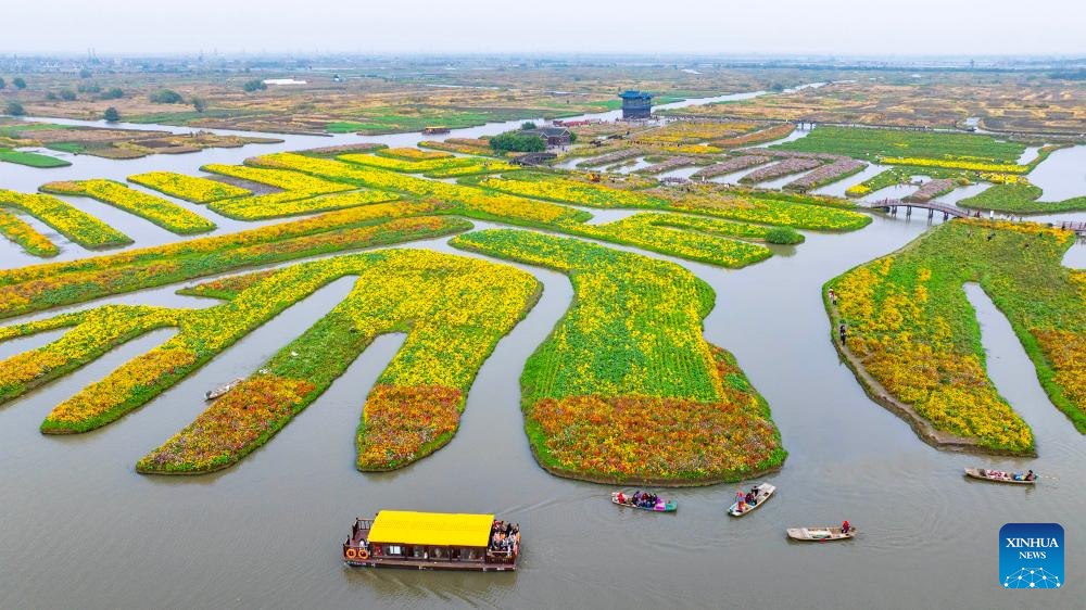 10 نومبر 2025 ۔ مشرقی چین کے صوبے جیانگ سو کے قدرتی مناظر کی خوبصورتی سے بھرپور تفریحی مقام پر سیاح کشتیوں میں سیر کر رہے ہیں ۔ (شنہوا/ جو شہ گین) 