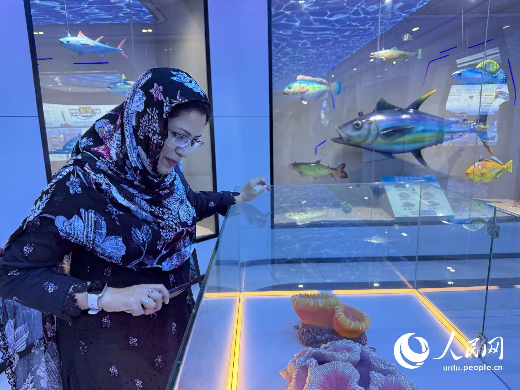 پیپلز ڈیلی آن لائن کی پاکستانی صحافی ساراافضل ہائی نان ہوایان بایو-پیپٹائڈ سائنس اینڈ ٹیکنالوجی میوزیم کے دورے کے دوران سمندری حیات کے مختلف نمونوں کو دیکھ رہی ہیں۔ (رمشا/پیپلز ڈیلی آن لائن)