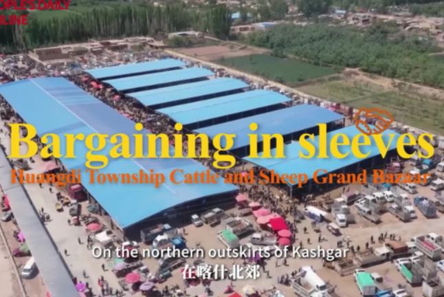 سنکیانگ ایک حیرت کدہ :حوانگ دی کے گرینڈ بازار میں "زیر آستین بھاو تاو" کی قدیم روایت