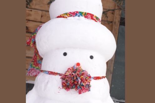 شوئے شیانگ نیشنل فاریسٹ پارک میں قدم رکھیں اور ایک طلسماتی دنیا کی سیر کریں