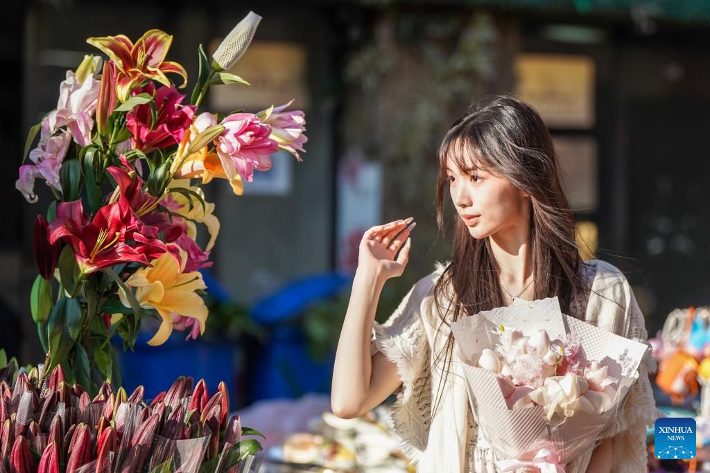 10 فروری 2026 ۔ چین کے صوبے یوننان کے شہر کھن منگ کی مشہور دونان&nbsp; فلاور مارکیٹ میں ایک خاتون ، مختلف اقسام کے پھولوں میں پھول منتخب کر رہی ہیں۔ (شِنہوا/پھینگ یی کھائی )