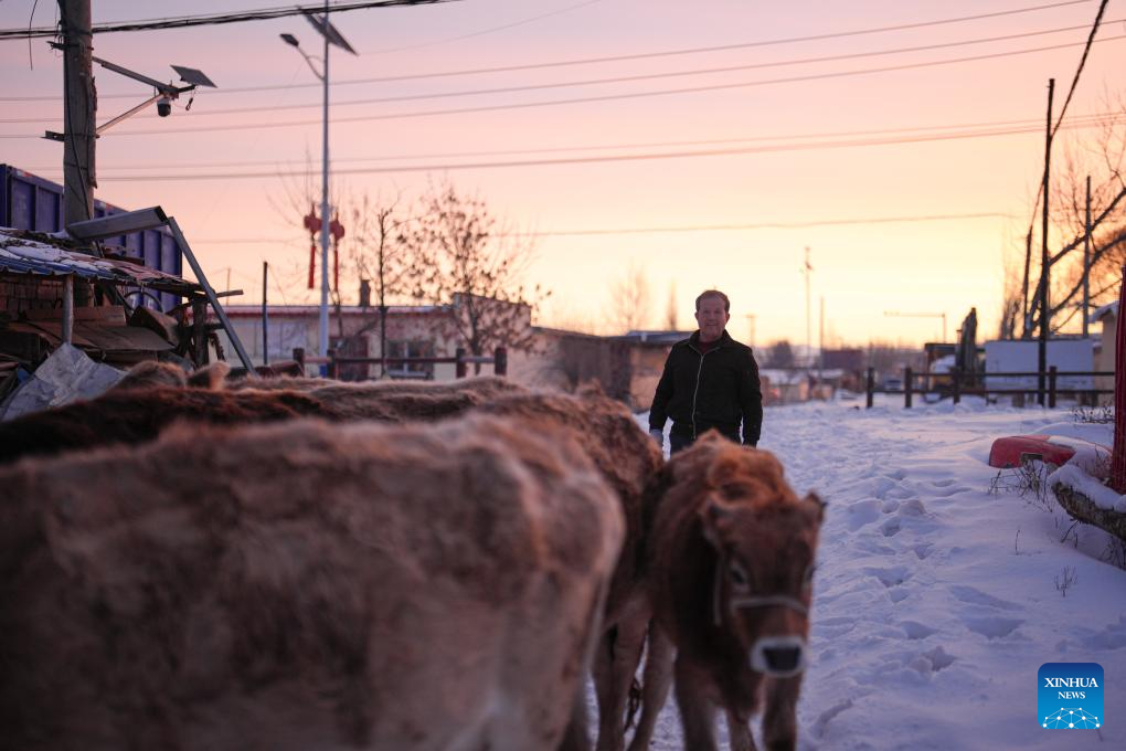 9 فروری 2026 ۔ سنکیانگ خود اختیار علاقے کے  ایلی قازق خود اختیار پریفیکچر کی کاونٹی شن یوان میں موسی جان خائرہ ، علی الصبح اپنے ریوڑ کے ساتھ ۔(شنہوا۔ شن یوئے وئے)