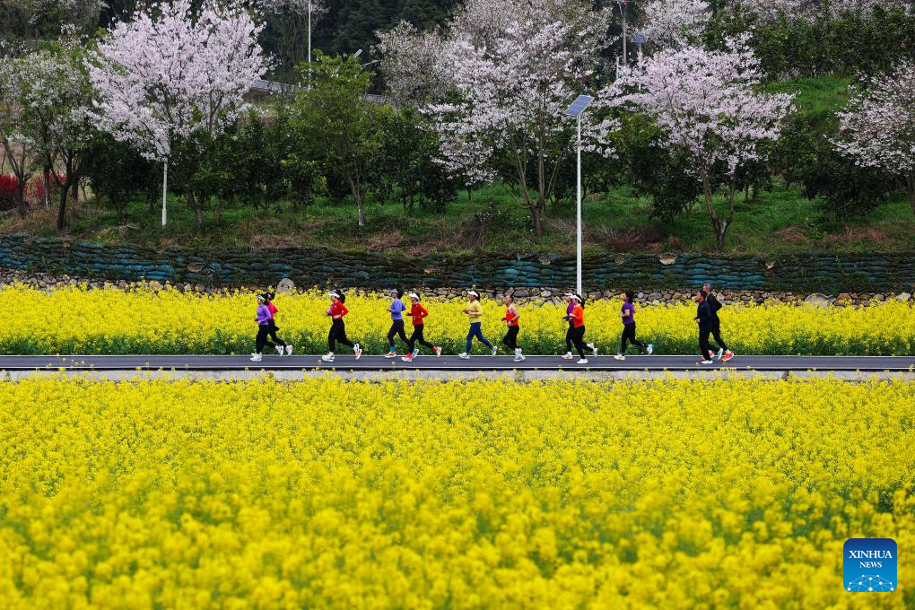 22 مارچ 2026۔ لوگ جنوب مغربی چین کے چھونگ چھنگ میں ایک زرعی نمائشی پارک میں جاگنگ  کرتے ہوئے۔(یانگ من/شنہوا)