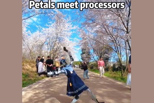 پنکھڑیوں اور پروسیسرز کی ملاقات