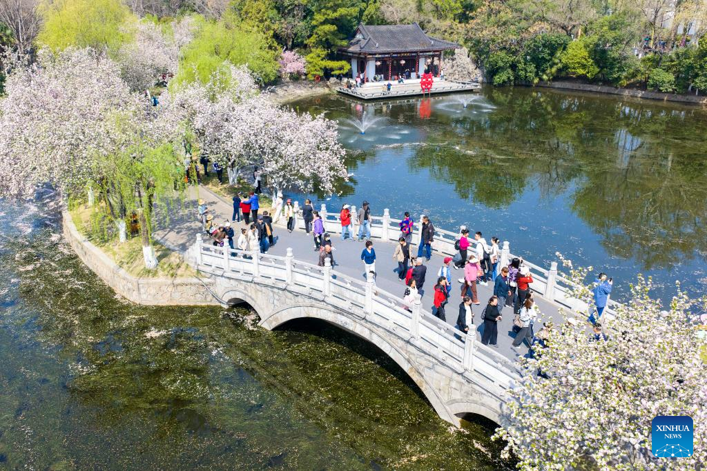 29 مارچ 2026۔  مشرقی چین کے صوبے جیانگ سو کے شہر نانجنگ کے ایک پارک میں سیاحوں کا بہار سے لطف اندوز ہوتے ایک فضائی منظر۔ (شی جُون/شِنہوا)