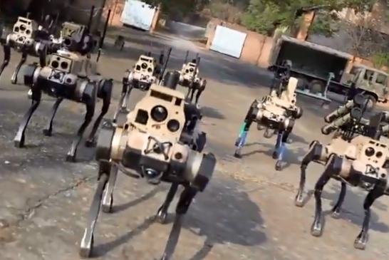 شہری جنگ کے لیے چین کے مشینی  "بھیڑیوں کے جھنڈ" کا تعارف