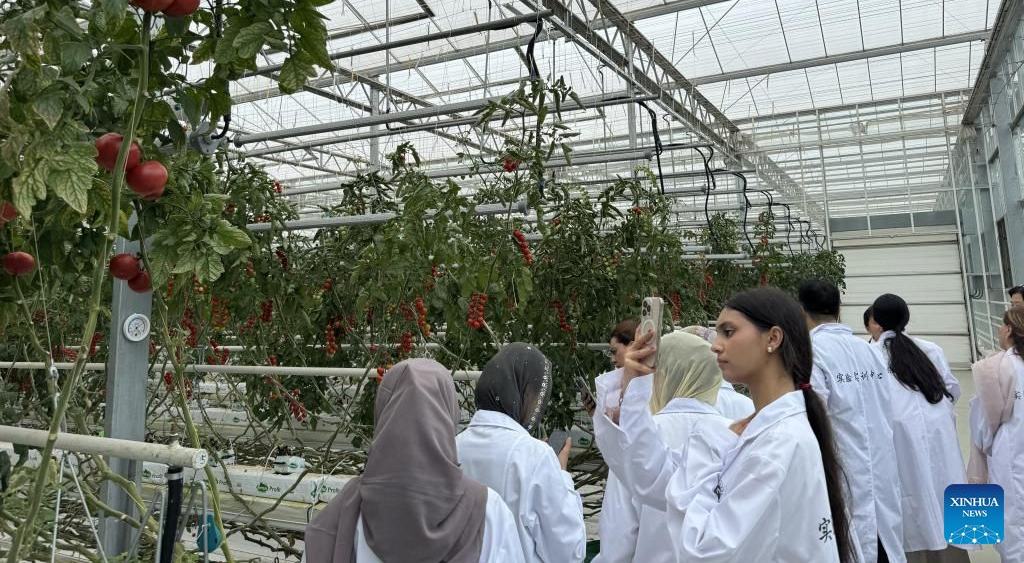 بیجنگ میں بلوچستان، پاکستان سے تعلق رکھنے والی سکول کی طالبات کے وفد کی میزبانی