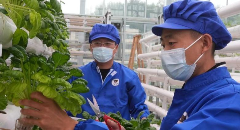 چین کے صوبے جہ جیانگ کے شہر جو جی میں سائنسی ٹیکنالوجی سے چلنے والا سمارٹ ایگریکلچر پارک