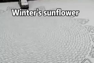 برف پر بنا منفرد سورج مکھی کا پھول