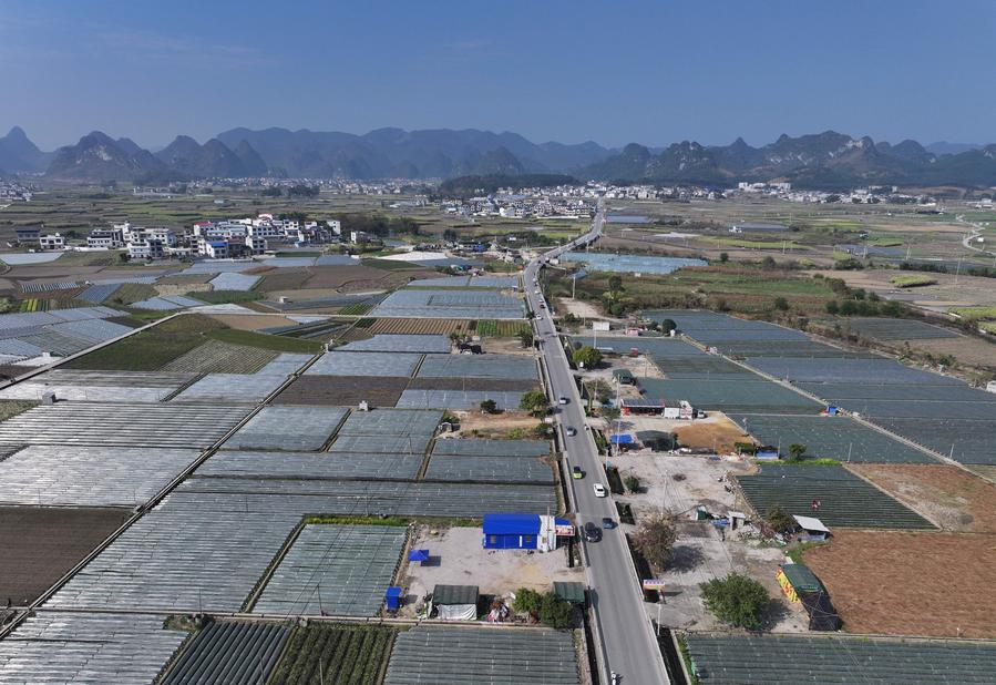 28 جنوری 2026 ۔گونگ شی چھوانگ خود اختیار علاقے کی ڈسٹرکٹ کے چھینگ توان ٹاؤن کے قریب ایک مرکزِ شجر کاری کا فضائی منظر ۔(شنہوا/وانگ جنگ چیانگ)