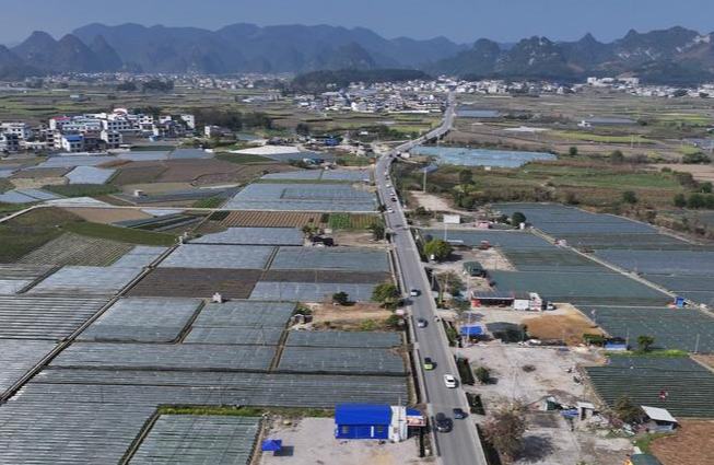 چین ، کس طرح زرعی جدیدیت اور دیہی بحالی کو آگے بڑھا رہا ہے