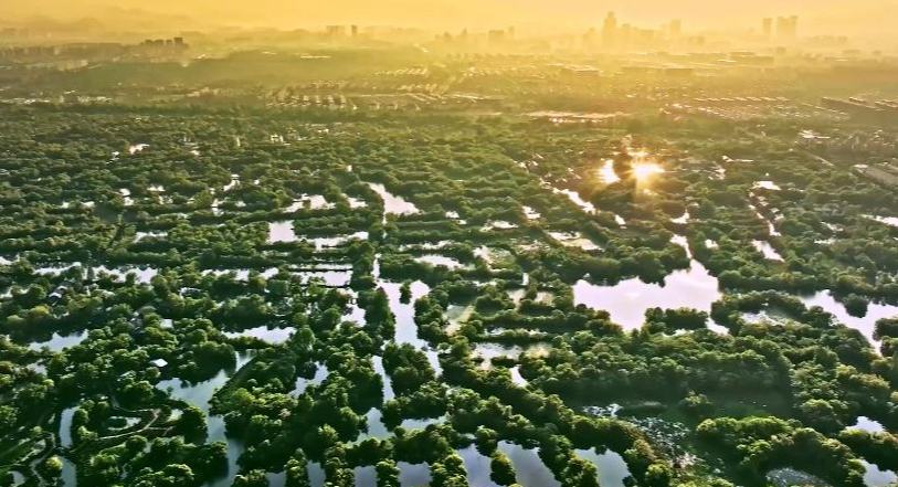 چین کے ویٹ لینڈز ، رقبے کے لحاظ سے ایشیا میں پہلے اور دنیا میں چوتھے نمبر پر