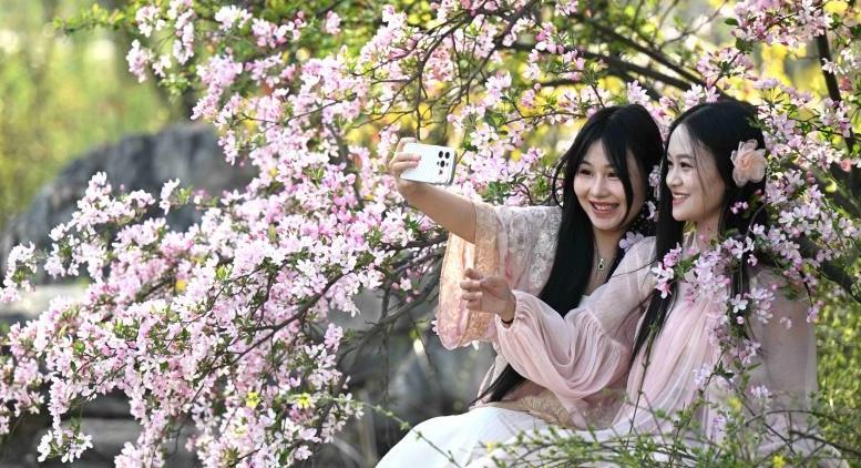 چین میں موسمِ بہار کے دلکش مناظر