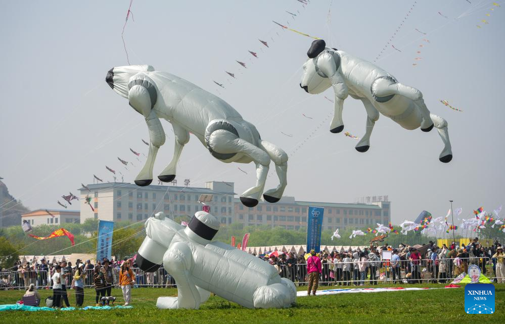 شان دونگ میں 43ویں وئے فانگ پتنگ میلے سے سجا آسمان