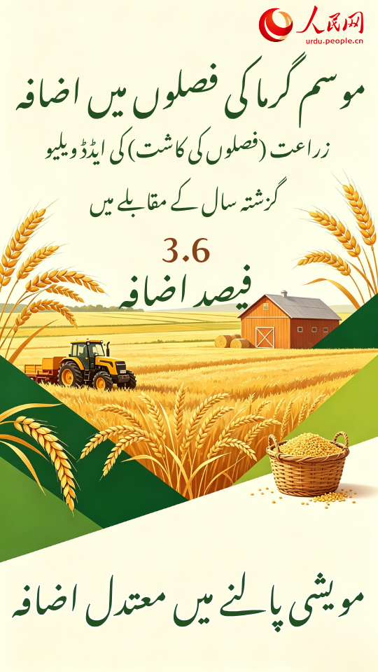 چینی معیشت کی 2026 کے سال ِ نصف کی رپورٹ کے 10 اعداد و شمار کا جائزہ