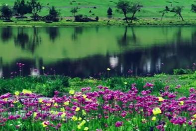 ایک طلسماتی احساس جگاتی ، شنگریلا کی وودی جھیل